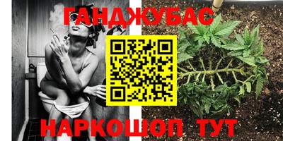 мяу мяу мука Ачхой-Мартан