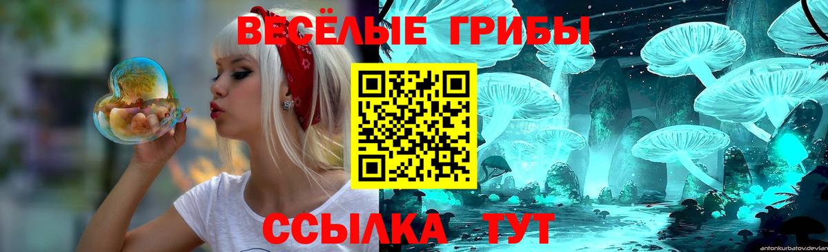 Галлюциногенные грибы Cubensis Красноуфимск